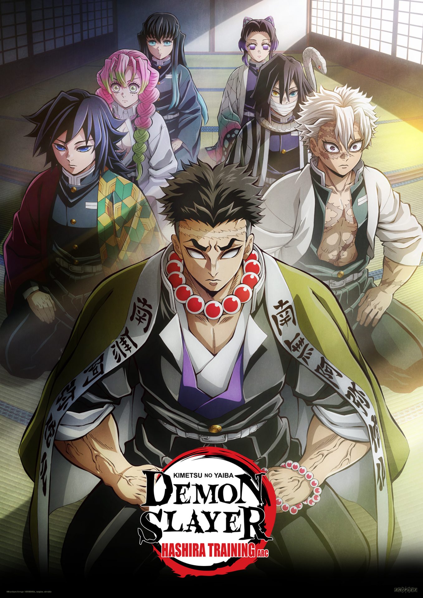 Demon Slayer: Hashira Training Arc ( TV Series ) - Netnaija Latest Movies